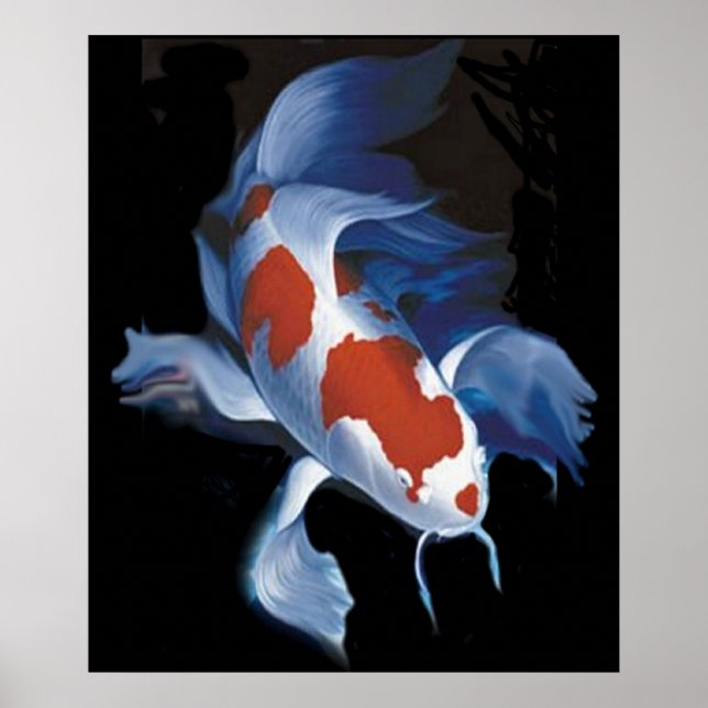 Mighty Koi Poster (Front)