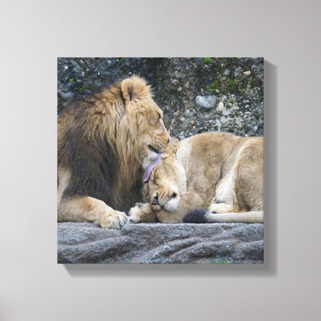 Mighty Lion Love Canvas Print (Front)