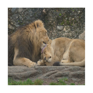 Mighty Lion Love Wood Wall Art
