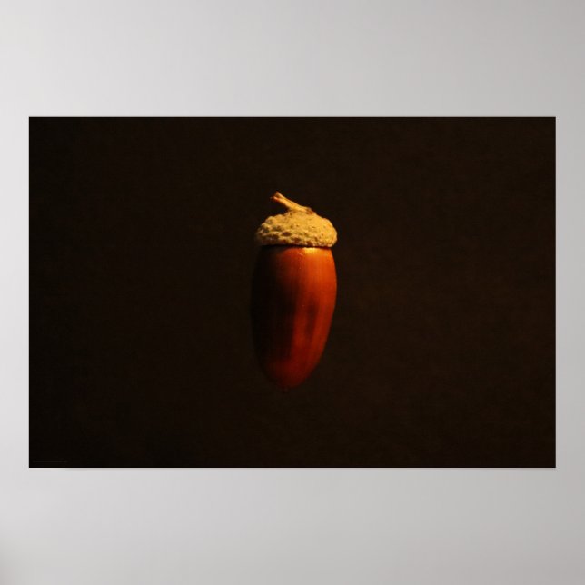 Mighty Oak wapcna Poster (Front)