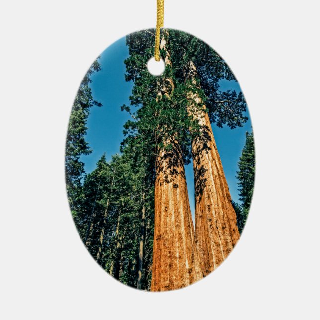 Mighty Redwood Ceramic Ornament (Front)