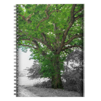 Mighty Tree Notebook