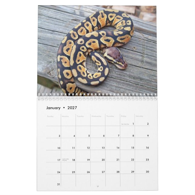 MightyMorphs calendar (Jan 2027)