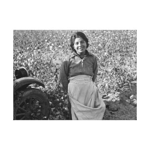 Migrant Worker in Cotton Field by Dorothea Lange Canvas Print