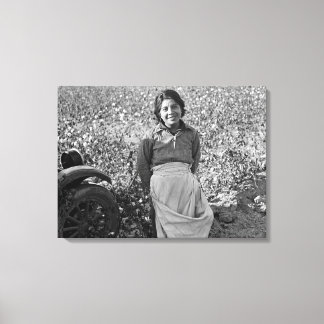 Migrant Worker in Cotton Field by Dorothea Lange Canvas Print