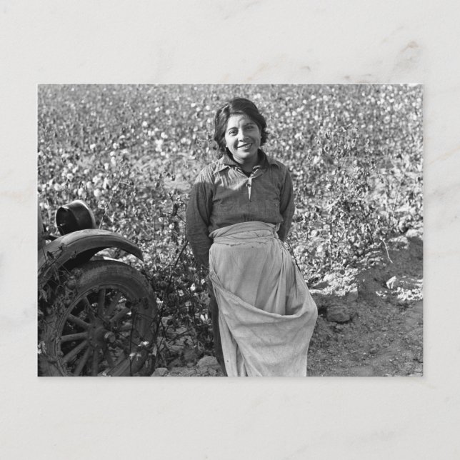 Migrant  Worker next to a Cotton Field Postcard (Front)