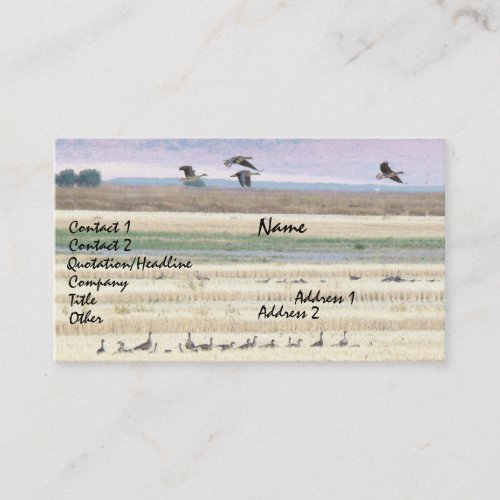 Migrating Geese Business Card