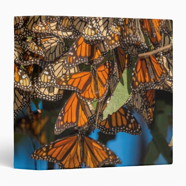 Migrating monarch butterflies cling to leaves binder (Front/Spine)