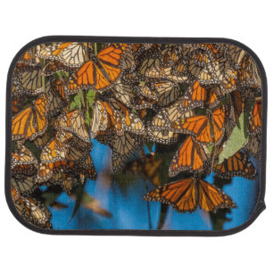 Migrating monarch butterflies cling to leaves car floor mat