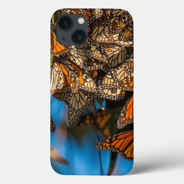 Migrating monarch butterflies cling to leaves Case-Mate iPhone case (Back)
