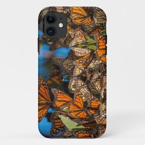 Migrating monarch butterflies cling to leaves iPhone 11 case