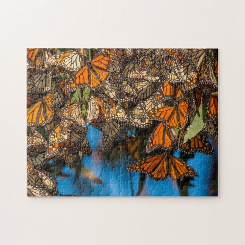 Migrating monarch butterflies cling to leaves jigsaw puzzle