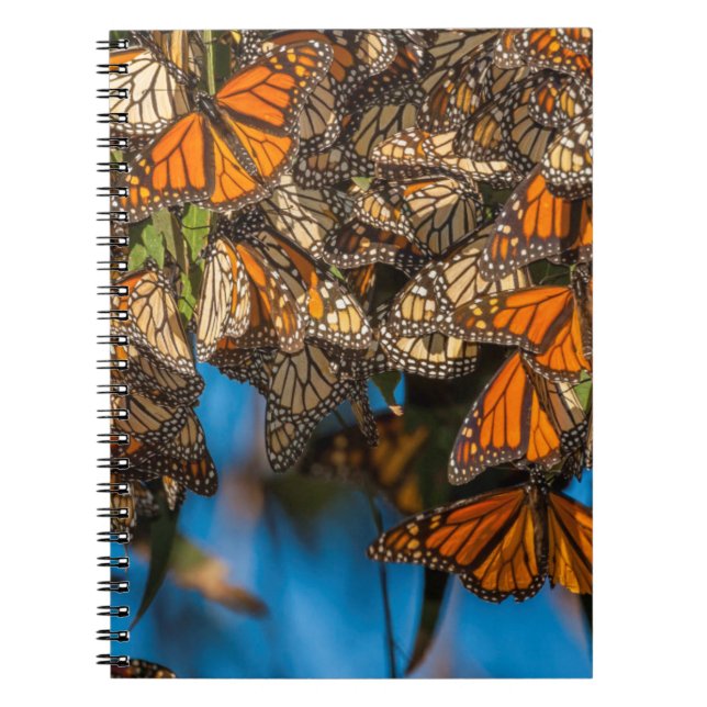 Migrating monarch butterflies cling to leaves notebook (Front)