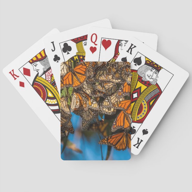 Migrating monarch butterflies cling to leaves poker cards (Back)