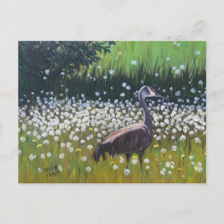 Migrating Sandhill Cranes Postcard