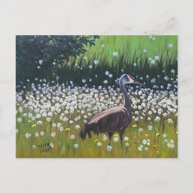 Migrating Sandhill Cranes Postcard (Front)