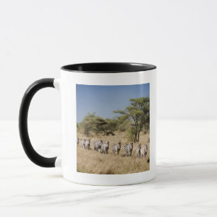 Migrating zebra, Tanzania Mug