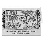 Migration of lemmings (Front Horizontal)