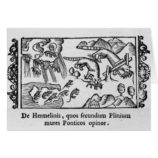 Migration of lemmings cards (Front Horizontal)