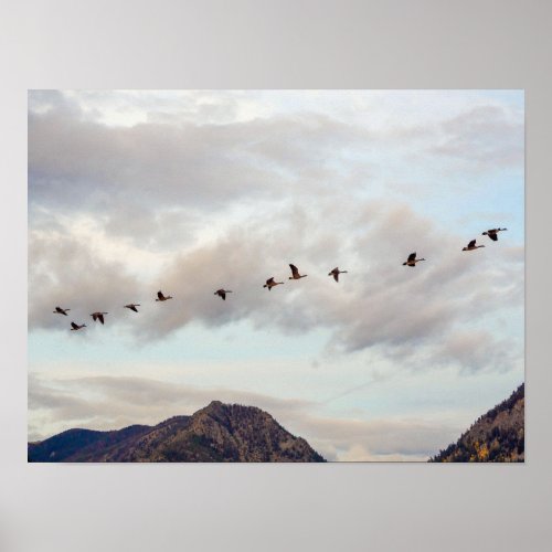 Migration of the Birds  Nature Photography Poster