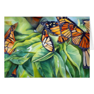 Migration of the Monarch Morning Light Cards