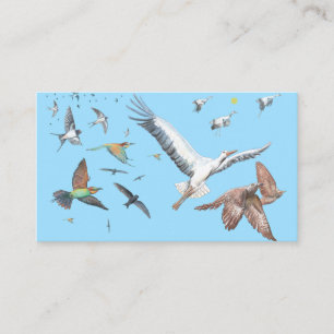 Migratory birds tracing their flights Illustration Enclosure Card
