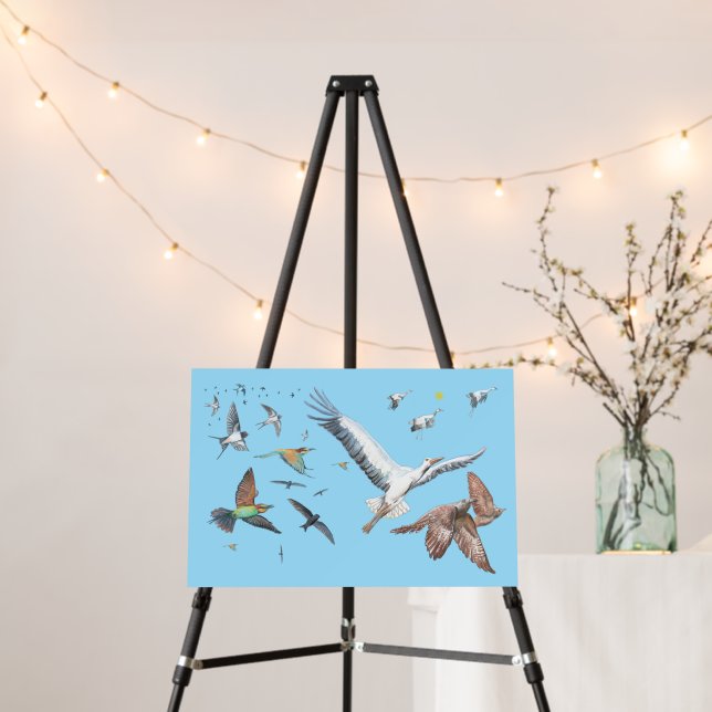 Migratory birds tracing their flights Illustration Foam Board (In Situ (Stand))