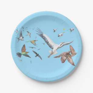 Migratory birds tracing their flights Illustration Paper Plates
