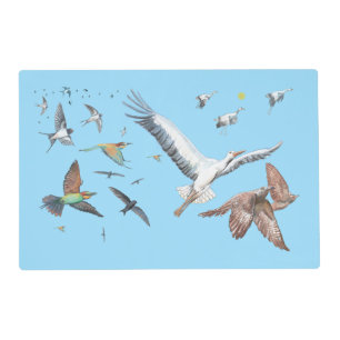 Migratory birds tracing their flights Illustration Placemat