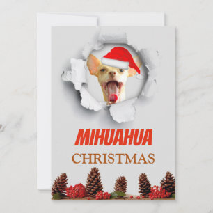 Mihuahua Christmas, Chihuahua with santa hat Holiday Card