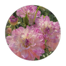 Mikayla Miranda Dahlia, Beautiful Purple Flower  