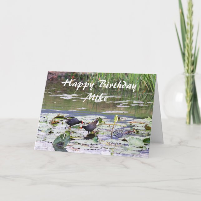 Mike Happy Birthday Hawaiian Common Moorhen Card (Front)