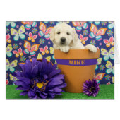 Mike, week 5 photo (Front Horizontal)