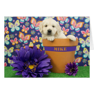 Mike, week 5 photo cards