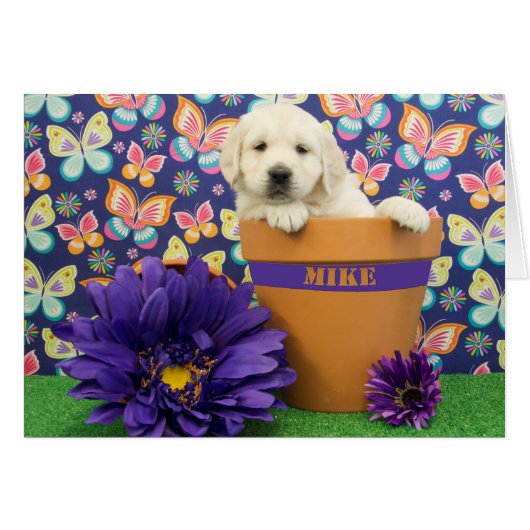 Mike, week 5 photo cards (Front Horizontal)