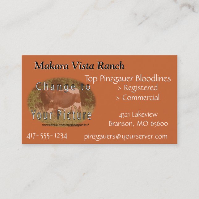 MikeCard 2- customize both sides Business Card (Front)