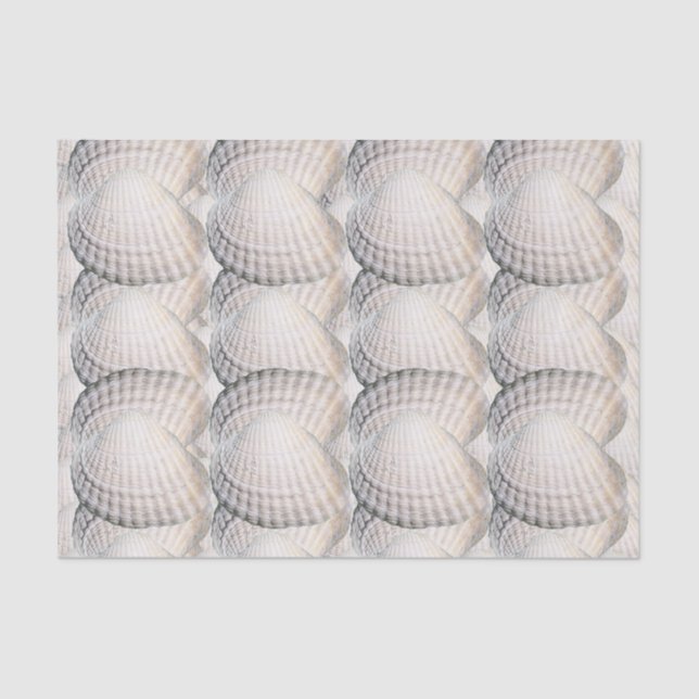 Mikitiez summer venus shell ocean beach tissue paper (Front)