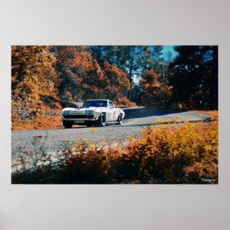 Mil cumbres dowhill (La Mexican Race) Poster