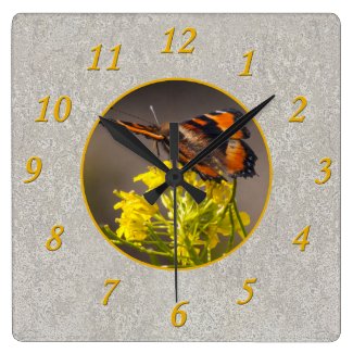 Milbert's Tortoiseshell Butterfly Add Your Photo Square Wall Clock