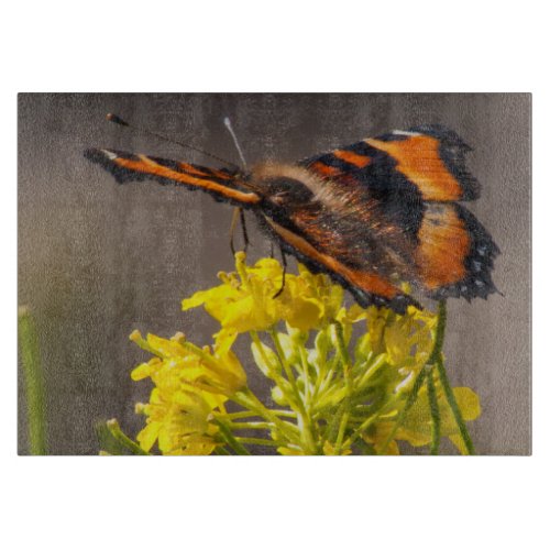 Milbert's Tortoiseshell Butterfly Close Up