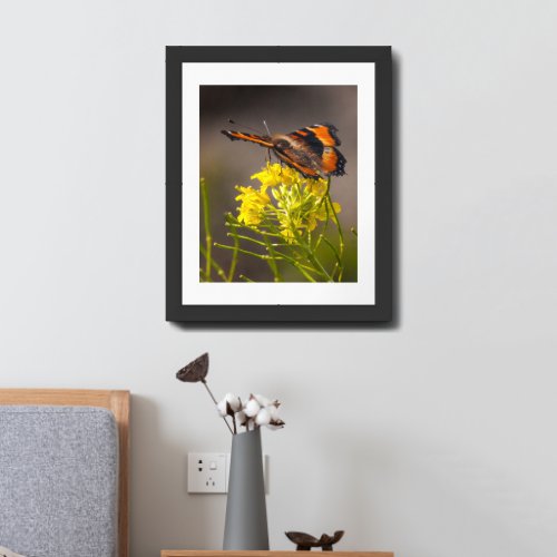 Milberts Tortoiseshell Butterfly Close Up Framed Art