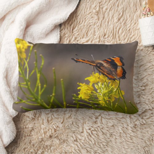 Milberts Tortoiseshell Butterfly Close Up Lumbar Pillow