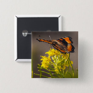 Milbert's Tortoiseshell Butterfly Close-Up Photo Pinback Button