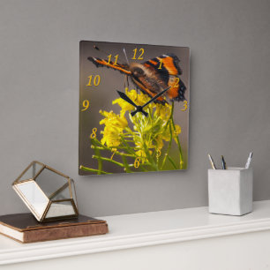 Milbert's Tortoiseshell Butterfly Close-Up Photo Square Wall Clock