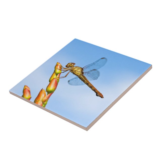 miles behind me tile (Side)