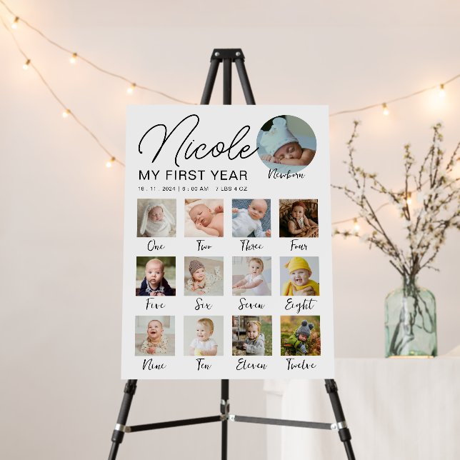Milestone Baby First Year 12 Months Photo Collage Foam Board (In Situ (Stand))
