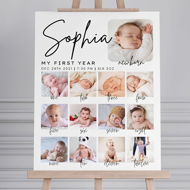 milestone birthday sign, printable baby's first  foam board (Creator Uploaded)