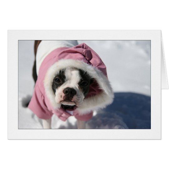 Miley in the snow card