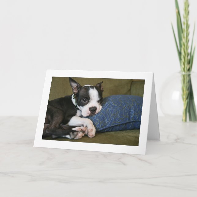 Miley is annoyed card (Front)