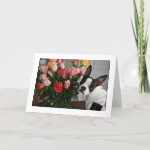 Miley with Roses Card